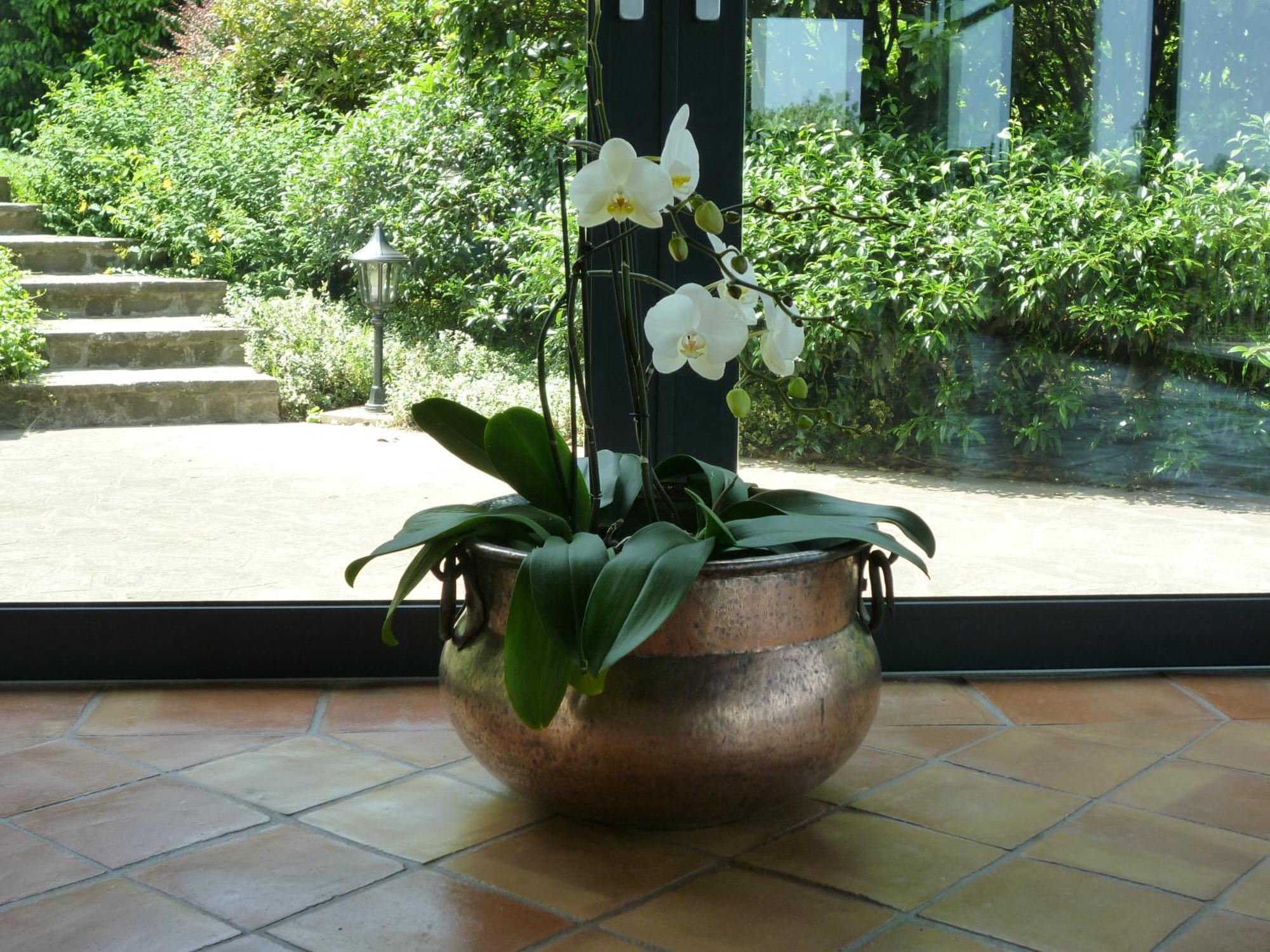 Country House Barone D'Asolo Eksteriør billede